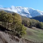 Torcaz Каэчо