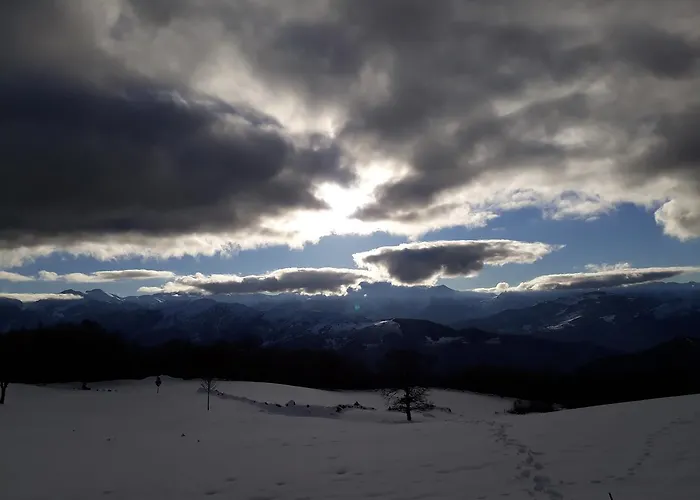 Han/Misafirhane Torcaz